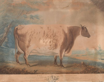 Lot 256 - Whessell (John). The Driffield Cow, 1804