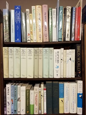 Lot 500 - Ornithology. A large collection of modern ornithology reference & related