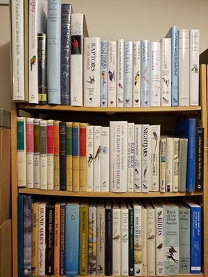 Lot 371 - Ornithology. A large collection of modern ornithology reference & related