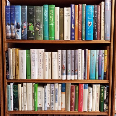 Lot 507 - University Publications. A large collection of university published ornithology reference & related