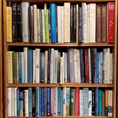 Lot 508 - Ornithology. A large collection of modern ornithology reference & related