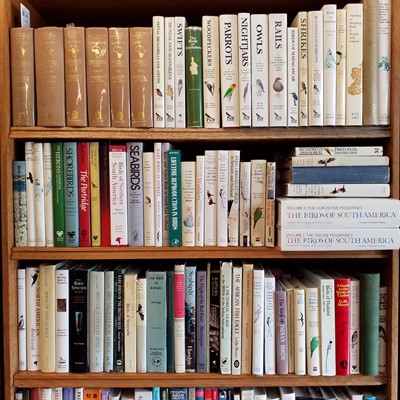 Lot 509 - Ornithology. A large collection of modern ornithology reference & related