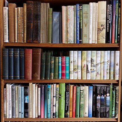Lot 510 - Natural History. A large collection of late 19th Century & modern natural history reference