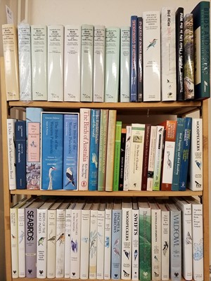 Lot 511 - Ornithology. A large collection of modern ornithology reference & related