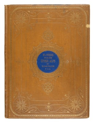 Lot 522 - Illustrated books, mostly 19th Century literature, natural history, children's books, a collection