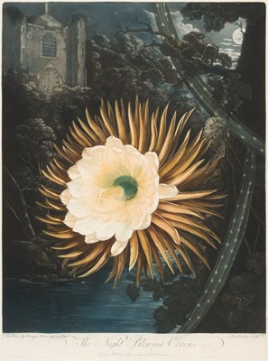 Lot 220 - Thornton (Robert John, 1768-1837). The Night-Blowing Cereus, published 1800