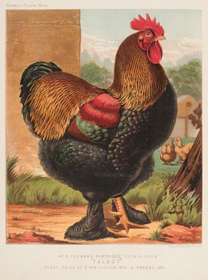 Lot 89 - Wright (Lewis). The Illustrated Book of Poultry, revised edition, 1886