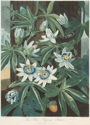 Lot 219 - Thornton (Robert John, 1768-1837). The Blue Passion Flower, published 1800