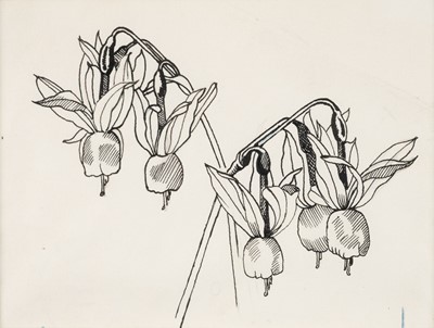 Lot 370 - Nash (John, 1893-1977) Narcissus Triandrus Albus, 1958, pen and ink on paper