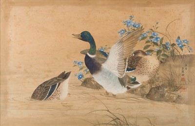Lot 187 - Oriental School. Mallard Ducks, watercolour on silk