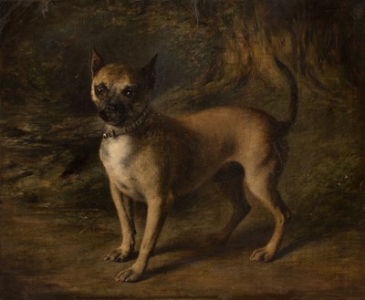 Lot 122 - Naïve School. Portrait of a Dog