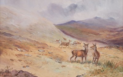 Lot 323 - Wallace (Harold Frank, 1881-1962). Stag and Hinds in the Hills