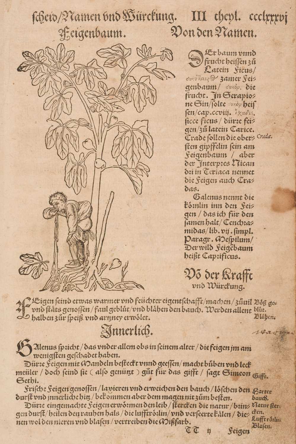 Lot 41 - Bock (Hieronymus). [Kreüter Buch, Strassburg: Josias Rihel, 1560]