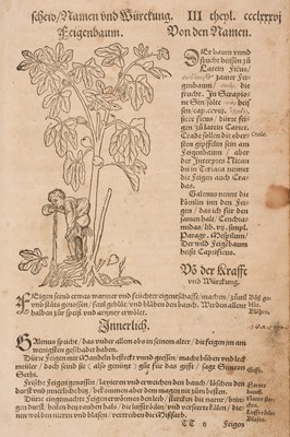 Lot 68 - Bock (Hieronymus). [Kreüter Buch, Strassburg: Josias Rihel, 1560]