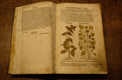 Lot 41 - Bock (Hieronymus). [Kreüter Buch, Strassburg: Josias Rihel, 1560]