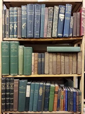 Lot 490 - Natural History. A collection of 19th & early 20th Century natural history reference