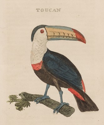Lot 70 - Brightly & Childs, publishers. The Natural History of Birds, 2 volumes, 1815