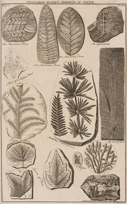 Lot 58 - Hill (John). A General Natural History..., 1748