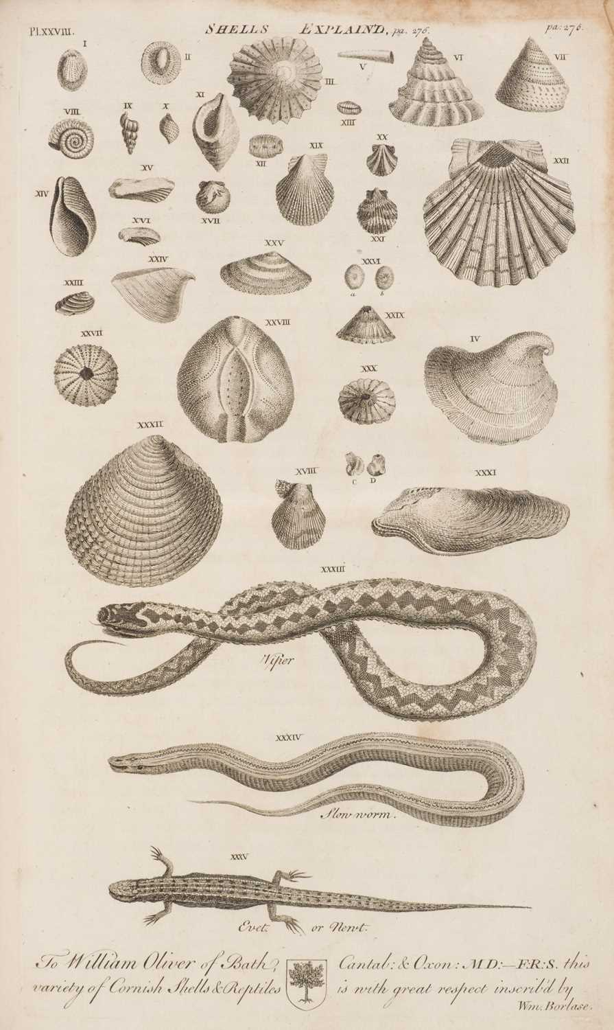 Lot 38 - Borlase (William). The Natural History of Cornwall, 1st edition, 1758
