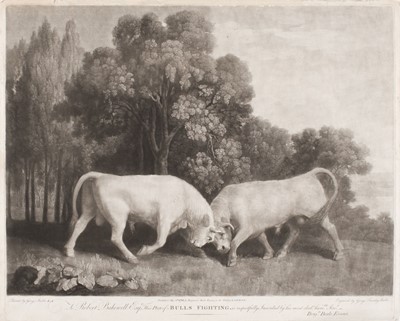 Lot 217 - Stubbs (George Townley). Bulls Fighting, Benjamin Beale Evans, 1788