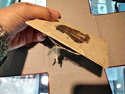 Lot 1 - Potter (Beatrix, illustrator). A Happy Pair, 1st [and only] edition, 1890