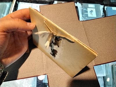 Lot 1 - Potter (Beatrix, illustrator). A Happy Pair, 1st [and only] edition, 1890