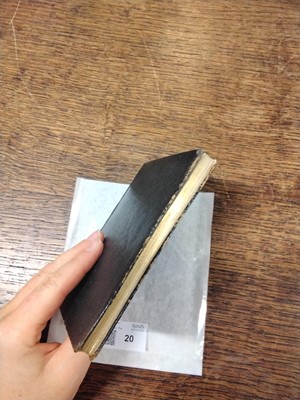 Lot 20 - Potter (Beatrix). The Tale of Squirrel Nutkin, 1st deluxe edition, 1903, rare trial binding