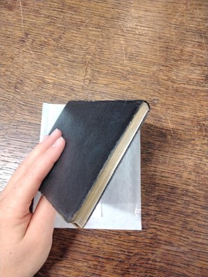 Lot 20 - Potter (Beatrix). The Tale of Squirrel Nutkin, 1st deluxe edition, 1903, rare trial binding