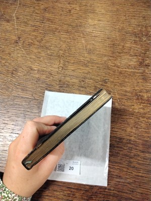 Lot 20 - Potter (Beatrix). The Tale of Squirrel Nutkin, 1st deluxe edition, 1903, rare trial binding