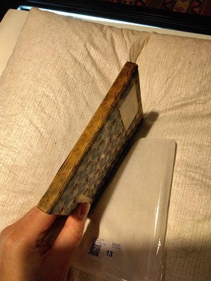 Lot 13 - Potter (Beatrix). The Tailor of Gloucester, 1st deluxe edition, 1903