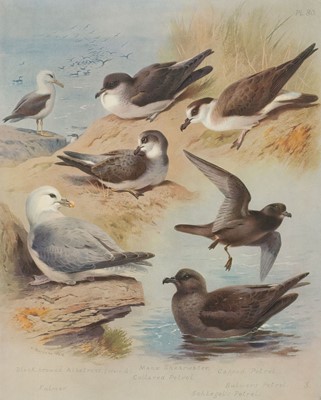 Lot 197 - Prints & Engravings. A collection of approximately 750 prints, 19th & 20th century
