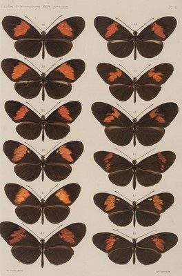 Lot 189 - Natural History. A collection of approximately 130 prints, 19th & 20th century
