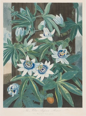 Lot 214 - Thornton (Robert John, 1768-1837). Caldwell (James), The Blue Passion Flower, 1800