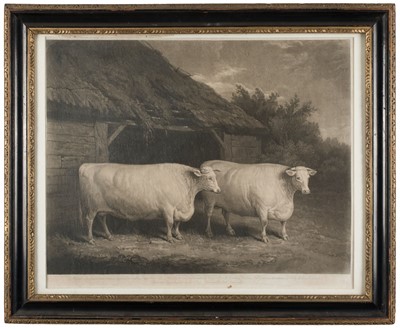 Lot 218 - Turner (Charles). Durham Twin Steers, 1817