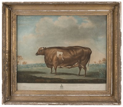 Lot 224 - Ward (William). The Unrivalled Lincolnshire Heifer, 1813