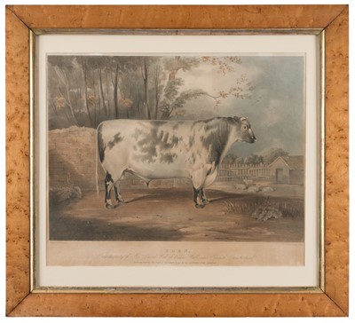 Lot 175 - Fairland (Thomas). Eden, circa 1843