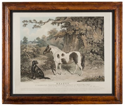 Lot 171 - Duncan (Edward). Beauty. A Celebrated Trotting Pony, 1834
