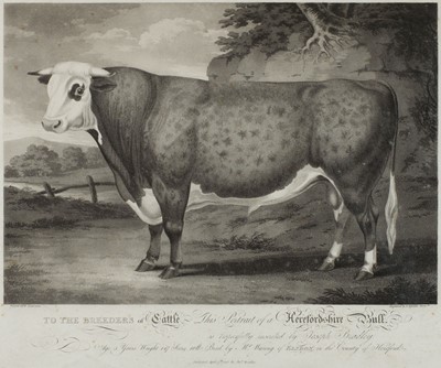 Lot 172 - Eginton (Francis). To the Breeders of Cattle, This Portrait of a Herefordshire Bull..., 1806