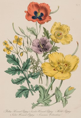 Lot 61 - Loudon (Jane). British Wild Flowers, 2nd edition, 1849