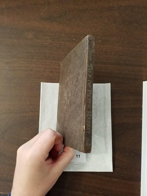 Lot 11 - Potter (Beatrix). The Tale of Peter Rabbit, 1st edition, 1902