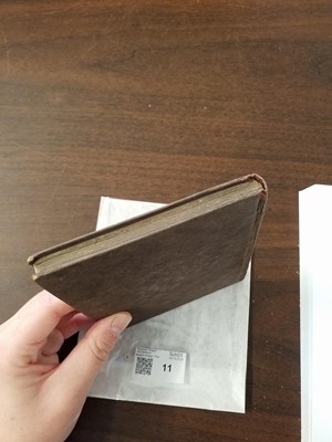 Lot 11 - Potter (Beatrix). The Tale of Peter Rabbit, 1st edition, 1902