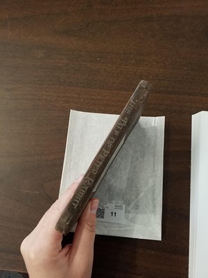 Lot 11 - Potter (Beatrix). The Tale of Peter Rabbit, 1st edition, 1902