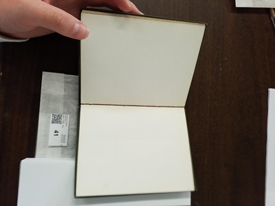 Lot 41 - Potter (Beatrix). The Tale of Tom Kitten, 1st deluxe edition, 1907