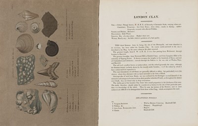 Lot 73 - Smith (William, 1769-1839). Strata Identified by Organized Fossils, 1st edition, 1816[-17]