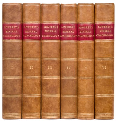 Lot 74 - Sowerby (James). The Mineral Conchology of Great Britain, 6 volumes, 1812-29