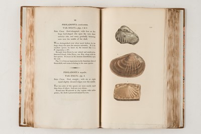 Lot 74 - Sowerby (James). The Mineral Conchology of Great Britain, 6 volumes, 1812-29