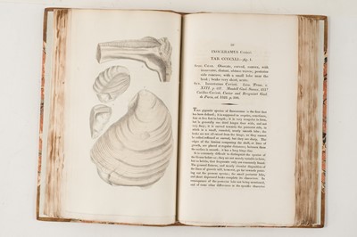 Lot 74 - Sowerby (James). The Mineral Conchology of Great Britain, 6 volumes, 1812-29