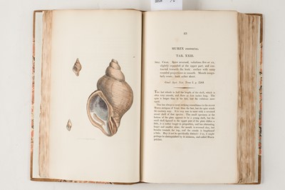 Lot 74 - Sowerby (James). The Mineral Conchology of Great Britain, 6 volumes, 1812-29