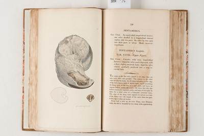 Lot 74 - Sowerby (James). The Mineral Conchology of Great Britain, 6 volumes, 1812-29