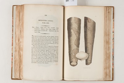 Lot 74 - Sowerby (James). The Mineral Conchology of Great Britain, 6 volumes, 1812-29